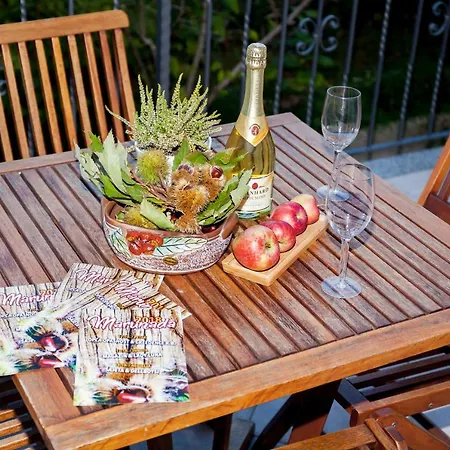 Apartment Lidija